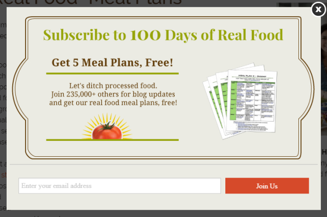 lead magnet 100days of real food - لیست ایمیل بسازیم یا بخریم ؟ ( آموزش ایمیل مارکتینگ )
